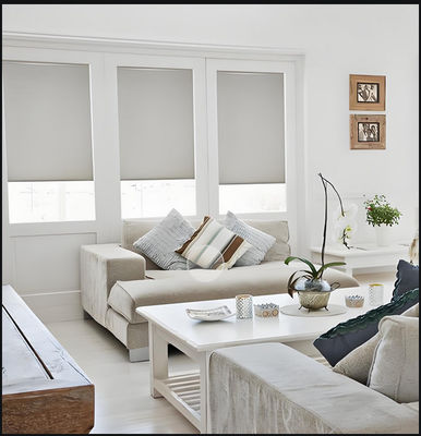 Modern Cordless Window Shades Thermal Insulation Ultra Privacy Custom No Cord Blinds