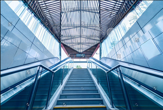 Customizable Sizes Modern Stair Railing Systems Residential Commercial Staircase Railing