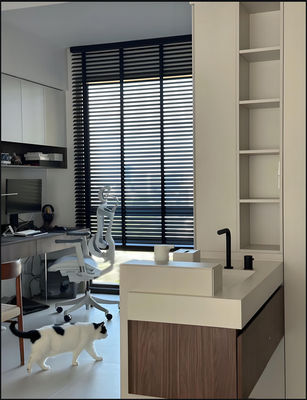 Modern Cordless Window Shades Thermal Insulation Ultra Privacy Custom No Cord Blinds