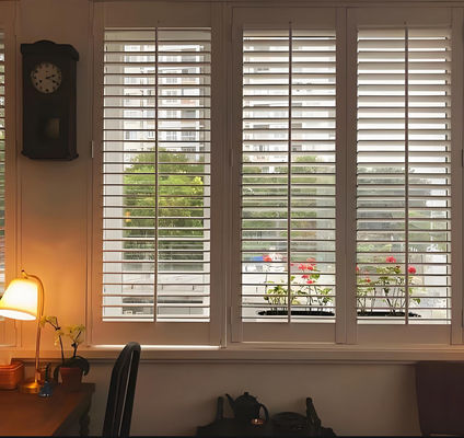 Modern Cordless Window Shades Thermal Insulation Ultra Privacy Custom No Cord Blinds
